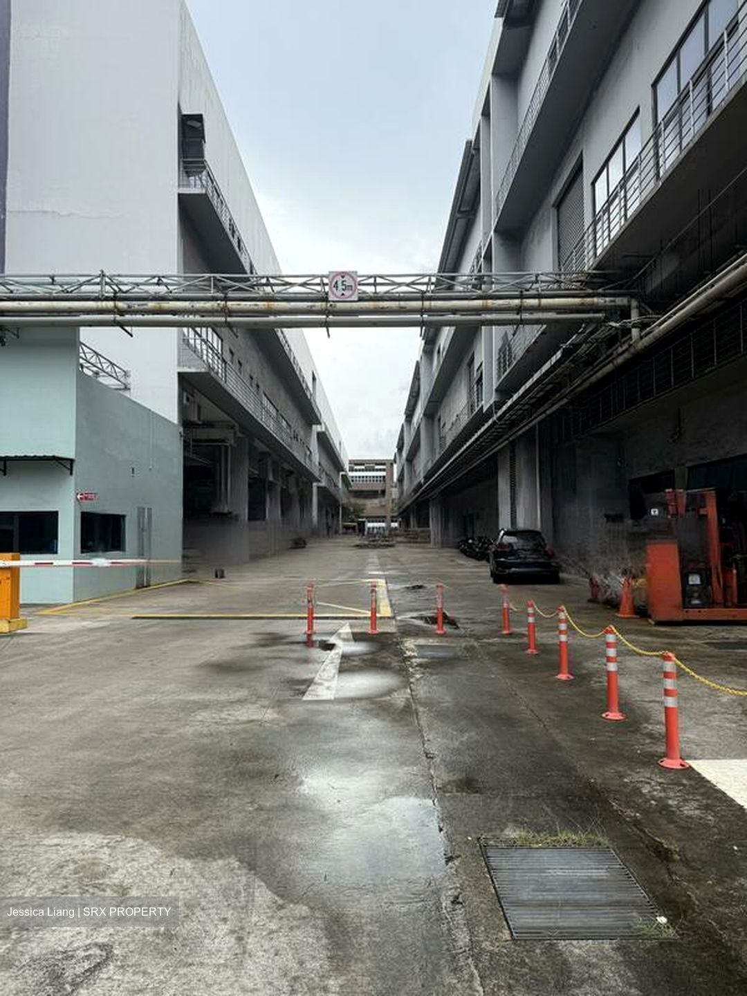 T99 (D22), Factory #480160341